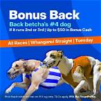how to bet on dog races and win